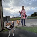 今日は曇り空のシェルター地方です。🐶💕