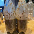 手づくり醤油キット