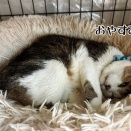 心臓に悪い寝方とどちらさま