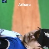 日ハムロドリゲス、テレビで試合観戦中