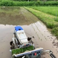 自給園の田植え（機械）、無事終了！