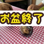 メルロコ一家の横須賀ストーリー
