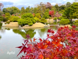 素晴らしかった 桂離宮の参観