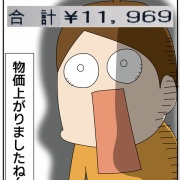 物価が高すぎて…