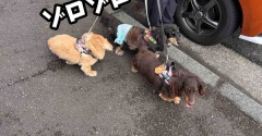 ２ヶ月に一度。