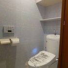 『プリンセス壁紙～新婚様タワーマンションリノベ』の画像