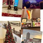 ルディとマリーとママの徒然日記