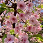 天野奈美の日常☆「Milky Wave」