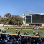 馬主目線の競馬予想