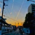 京都へ行って来ました4…八坂さんと円山公園