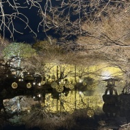 【京都】1ヶ月だけの幻想的な世界　～東寺月回廊