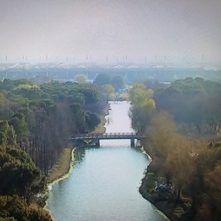 F1 えきぞーすとのーと