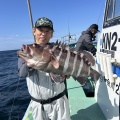 イワシの泳がせ　マハタ