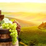 飲食経験40年のblog