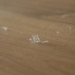 部屋の埃対策ってどうしてる？