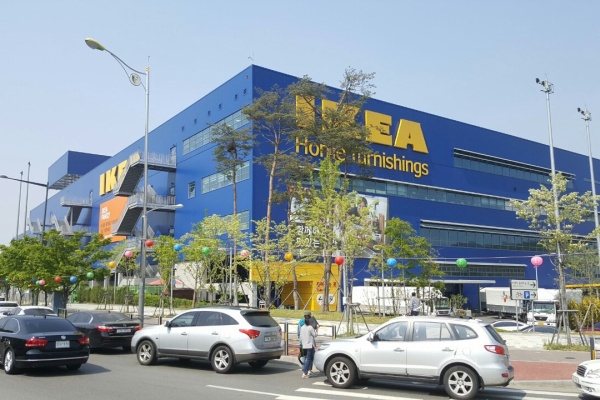 韓国のイケアに行って来ました むくげの花