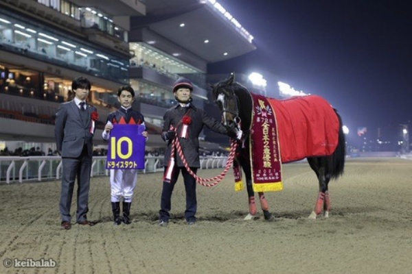 新入一口馬主の活動履歴 Yggオーナーズクラブ