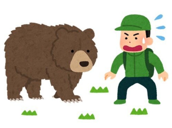 ヒグマに襲われてる人がいたら逃げるしかないんか？