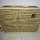 Guyatone GA-220  (1)