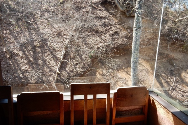 僕と彼氏の旅行記 渡辺明