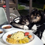 黒ぽめ！あんことおはぎとだんごちゃん