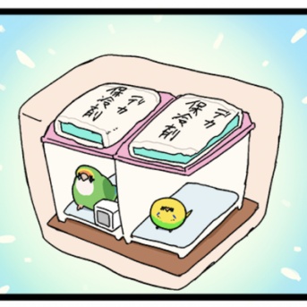 🪼🪼真夏の通院スタイル🪼🪼