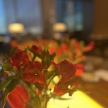 『夢のつづき　vol.4257』の画像