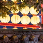 猫写真家・沖 昌之のブログ　野良ねこちゃんねる。　