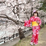 『お着物姿で桜を愛でる留美子さん【新･留美子讃歌 ４０】』の画像