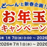『ANA Pay残高2,026円分プレゼント！新春お年玉キャンペーン』の画像
