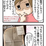 毎日衝動買い我慢する猫オバサンの買い物