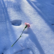 義兄が救急車で