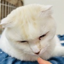 Yさんのお当番日記『おばちゃんダイエット』。