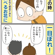 コレ初めて！「食べるお花」