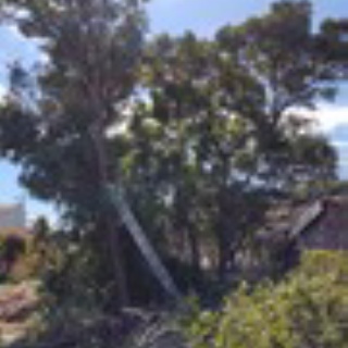 幕末・明治の肥前　こぼれ話