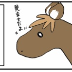 今日もうちのウマコが騒いでる