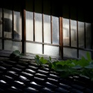 木漏れ日に息づく時間