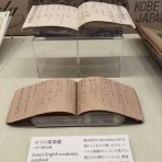 松山市の英会話教室ブログ【英検1級・TOEIC990点】英語・英会話スクール