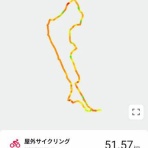 トリと自転車と私