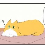 香箱のなか