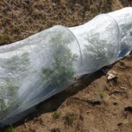 毎日が日曜　晴耕雨読な日々