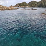 クボタメガネ blog