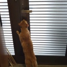 まるは気になっている