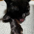 うるちゃん　と　後ろに見える　かえでちゃん