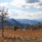 何度でも訪れたい日本の風景