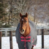 『強さ』の画像