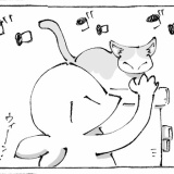 うちの犬のルカ。【８８】