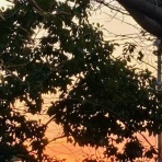 だいじろう日和。