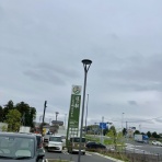 三毛猫ランチ２