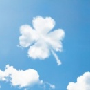 7/7 本日の結果＆オーバーナイトセクション